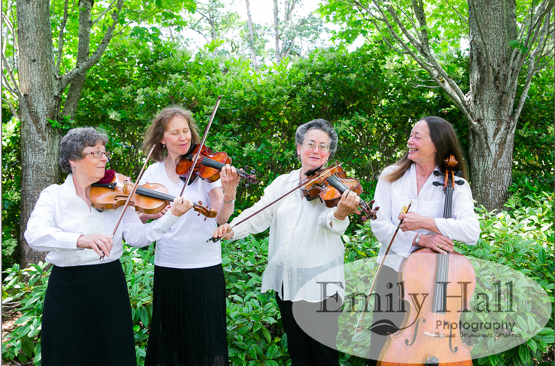 Deepwood Strings Group Photo